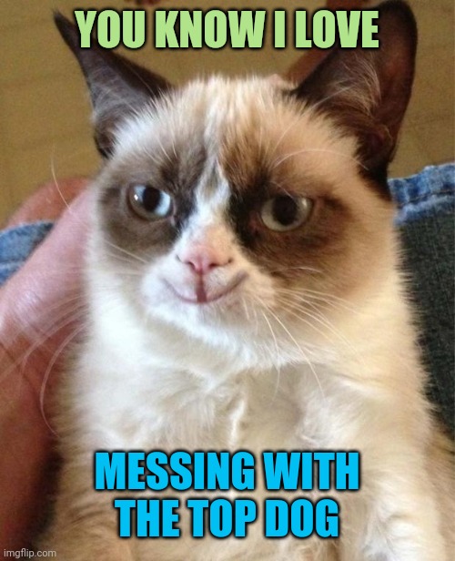 Happy grumpy cat | YOU KNOW I LOVE MESSING WITH THE TOP DOG | image tagged in happy grumpy cat | made w/ Imgflip meme maker