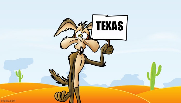 Wile E. Coyote Sign | TEXAS | image tagged in wile e coyote sign | made w/ Imgflip meme maker