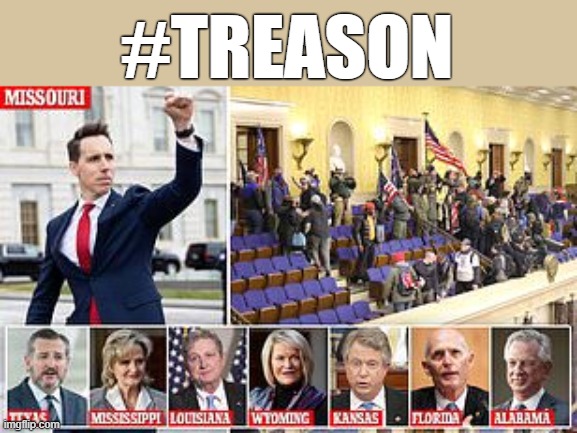 #TREASON | #TREASON | image tagged in american,treason,terrorist,racist,hawley,cruz | made w/ Imgflip meme maker