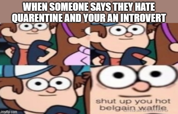 shut up | WHEN SOMEONE SAYS THEY HATE QUARENTINE AND YOUR AN INTROVERT | image tagged in shut up you hot belgain waffle | made w/ Imgflip meme maker