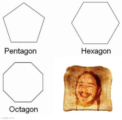 Toast Malone lmao | image tagged in funny | made w/ Imgflip meme maker
