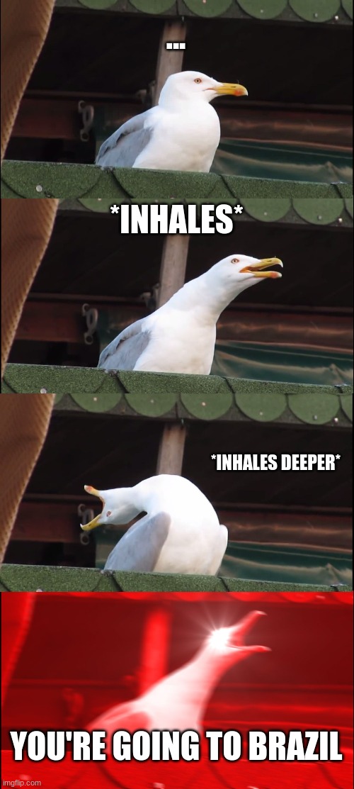 Inhaling Seagull Meme | ... *INHALES*; *INHALES DEEPER*; YOU'RE GOING TO BRAZIL | image tagged in memes,inhaling seagull,ha ha tags go brr | made w/ Imgflip meme maker