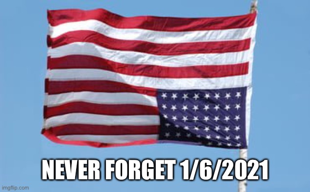 America in distress | NEVER FORGET 1/6/2021 | image tagged in usa flag | made w/ Imgflip meme maker