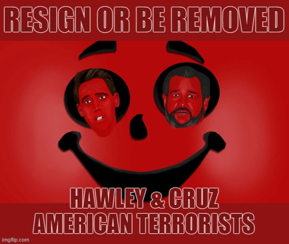 AMERICAN TERRORISTS | RESIGN OR BE REMOVED; HAWLEY & CRUZ AMERICAN TERRORISTS | image tagged in hawley,cruz,traitor,terrorist,criminal,remove | made w/ Imgflip meme maker