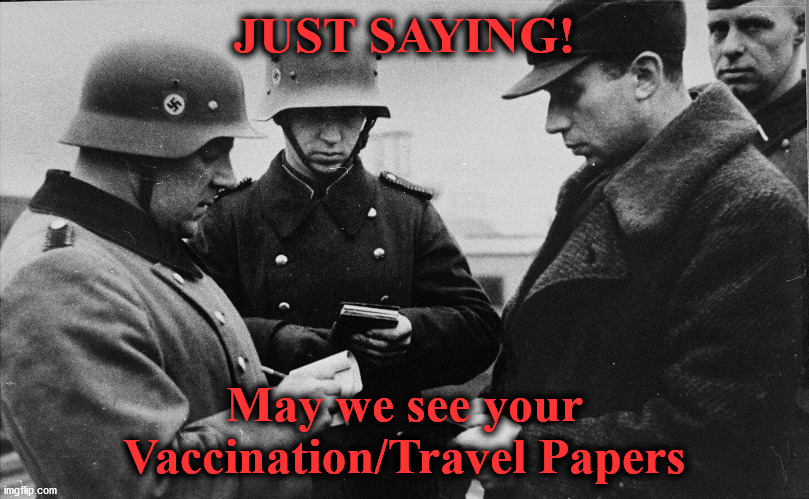 papers | JUST SAYING! May we see your Vaccination/Travel Papers | image tagged in papers | made w/ Imgflip meme maker