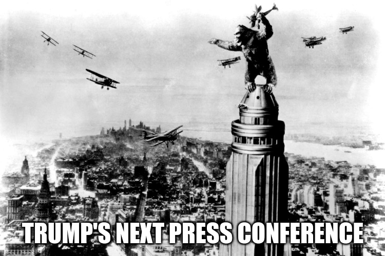 Trump's Next Press Conference | TRUMP'S NEXT PRESS CONFERENCE | image tagged in donald trump,political meme | made w/ Imgflip meme maker