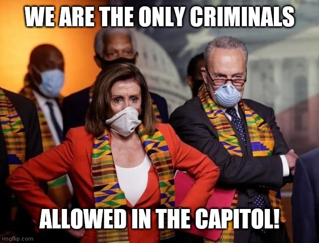 stay in your lane | WE ARE THE ONLY CRIMINALS; ALLOWED IN THE CAPITOL! | image tagged in pander dems | made w/ Imgflip meme maker