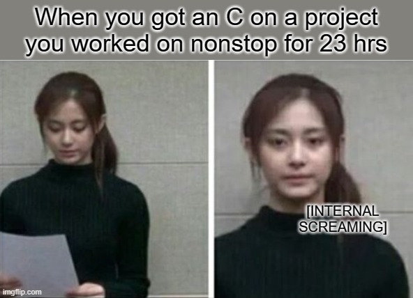 really | When you got an C on a project you worked on nonstop for 23 hrs; [INTERNAL SCREAMING] | image tagged in really | made w/ Imgflip meme maker