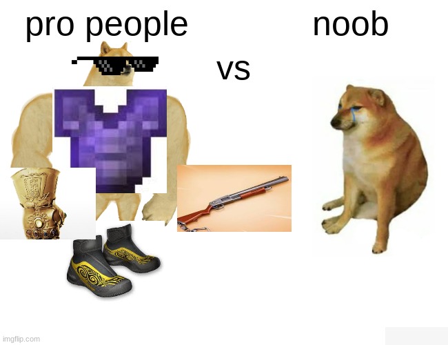Buff Doge vs. Cheems Meme | pro people; noob; vs | image tagged in memes,buff doge vs cheems | made w/ Imgflip meme maker
