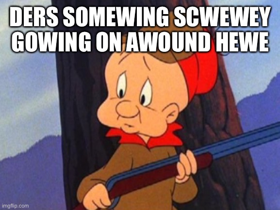 US Congress | DERS SOMEWING SCWEWEY GOWING ON AWOUND HEWE | image tagged in elmer fudd | made w/ Imgflip meme maker