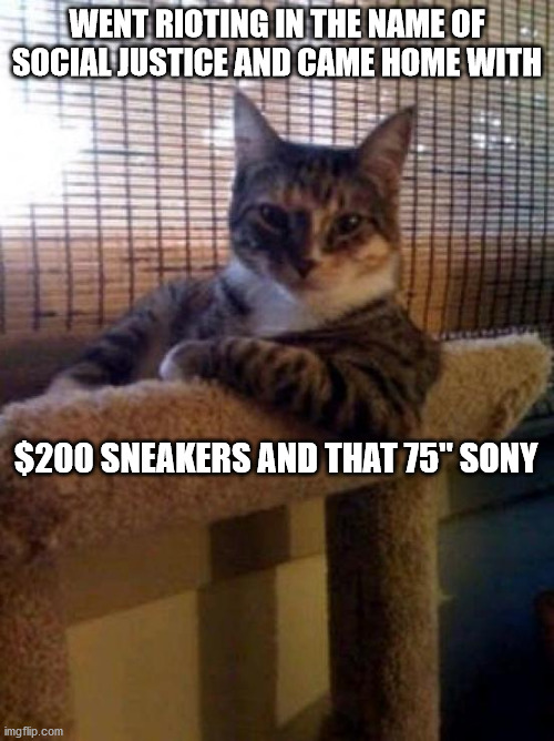 The Most Interesting Cat In The World | WENT RIOTING IN THE NAME OF SOCIAL JUSTICE AND CAME HOME WITH; $200 SNEAKERS AND THAT 75" SONY | image tagged in memes,the most interesting cat in the world | made w/ Imgflip meme maker
