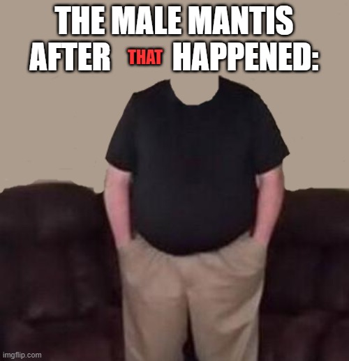 no-head man | THE MALE MANTIS AFTER          HAPPENED: THAT | image tagged in no-head man | made w/ Imgflip meme maker