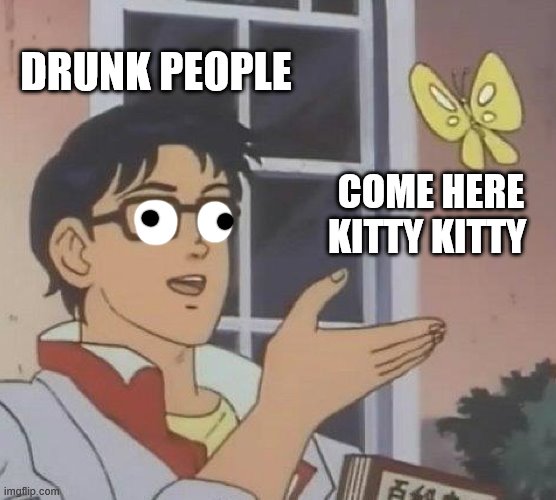Drunk People Problems | DRUNK PEOPLE; COME HERE KITTY KITTY | image tagged in memes,is this a pigeon | made w/ Imgflip meme maker
