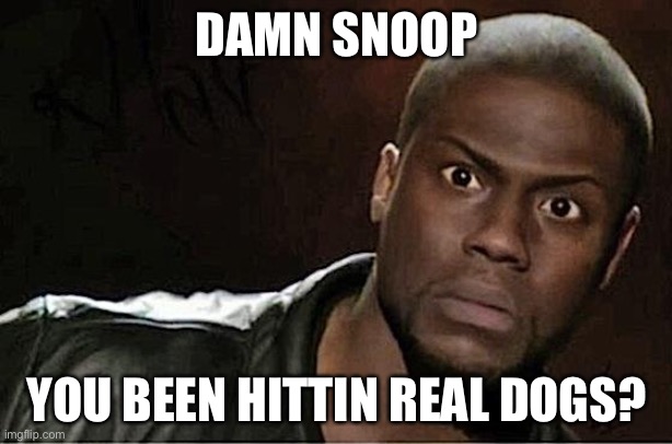 Kevin Hart Meme | DAMN SNOOP YOU BEEN HITTIN REAL DOGS? | image tagged in memes,kevin hart | made w/ Imgflip meme maker