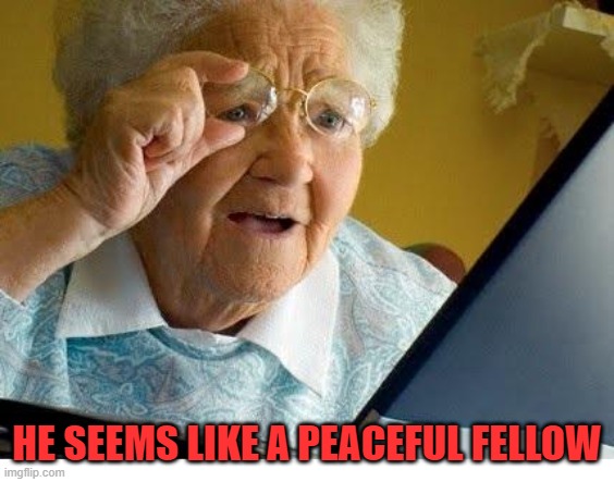 old lady at computer | HE SEEMS LIKE A PEACEFUL FELLOW | image tagged in old lady at computer | made w/ Imgflip meme maker