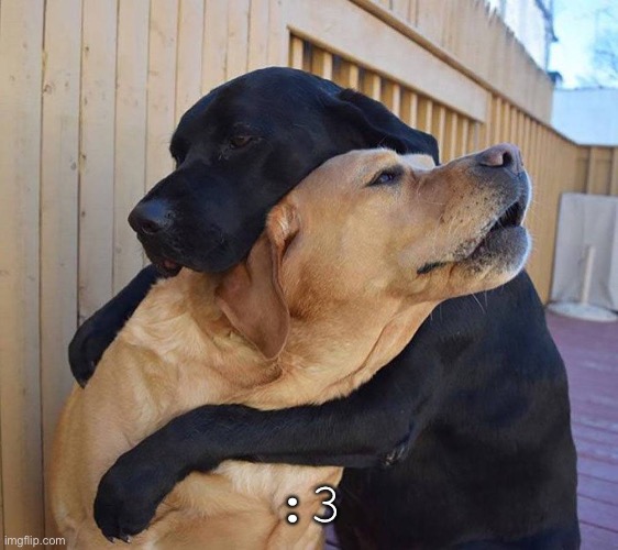 Emergency Hug | :3 | image tagged in emergency hug | made w/ Imgflip meme maker