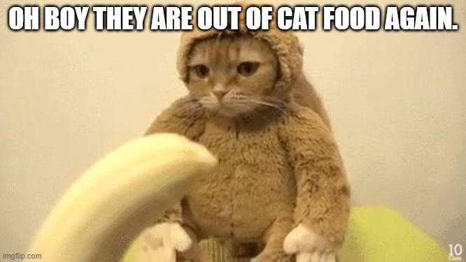 Monkey Cat | OH BOY THEY ARE OUT OF CAT FOOD AGAIN. | image tagged in monkey cat | made w/ Imgflip meme maker