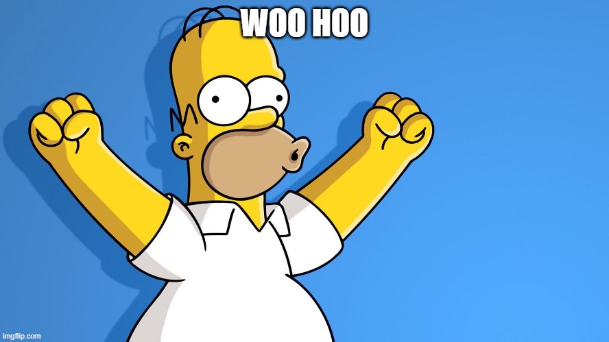 Homer Simpson woo hoo | WOO HOO | image tagged in homer simpson woo hoo | made w/ Imgflip meme maker