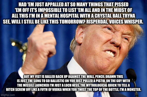 Donald Trump | HAD 'EM JUST APPALLED AT SO MANY THINGS THAT PISSED 'EM OFF IT'S IMPOSSIBLE TO LIST 'EM ALL AND IN THE MIDST OF ALL THIS I'M IN A MENTAL HOSPITAL WITH A CRYSTAL BALL TRYNA SEE, WILL I STILL BE LIKE THIS TOMORROW? RISPERDAL, VOICES WHISPER. BUT MY FIST IS BALLED BACK UP AGAINST THE WALL, PENCIL DRAWN THIS IS JUST THE SONG TO GO BALLISTIC ON YOU JUST PULLED A PISTOL ON THE GUY WITH THE MISSILE LAUNCHER I'M JUST A LOCH NESS, THE MYTHOLOGICAL QUICK TO TELL A BITCH SCREW OFF LIKE A FIFTH OF VODKA WHEN YOU TWIST THE TOP OF THE BOTTLE, I'M A MONSTER. | image tagged in donald trump | made w/ Imgflip meme maker