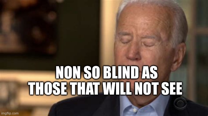 Sleepy Joe | NON SO BLIND AS THOSE THAT WILL NOT SEE | image tagged in sleepy joe,voter fraud,biden | made w/ Imgflip meme maker