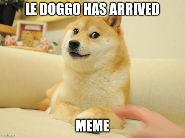 Doge | LE DOGGO HAS ARRIVED; MEME | image tagged in memes,doge 2 | made w/ Imgflip meme maker
