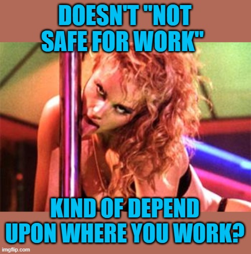 Stripper Pole | DOESN'T "NOT SAFE FOR WORK" KIND OF DEPEND UPON WHERE YOU WORK? | image tagged in stripper pole | made w/ Imgflip meme maker