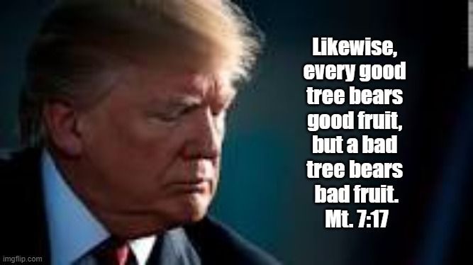 This is a bad tree. Poison. | Likewise, 
every good 
tree bears 
good fruit, 
but a bad 
tree bears 
bad fruit.
Mt. 7:17 | image tagged in donald trump,bad fruit,bad tree,evil,poison | made w/ Imgflip meme maker