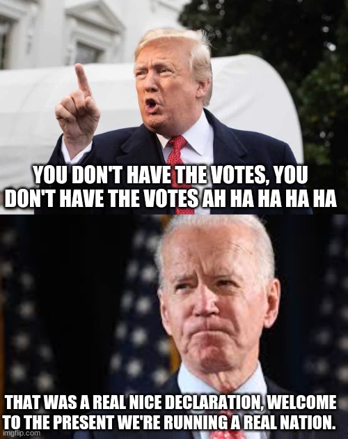 Jefferson/Hamilton? More like Trump/Biden | YOU DON'T HAVE THE VOTES, YOU DON'T HAVE THE VOTES AH HA HA HA HA; THAT WAS A REAL NICE DECLARATION, WELCOME TO THE PRESENT WE'RE RUNNING A REAL NATION. | image tagged in funny | made w/ Imgflip meme maker