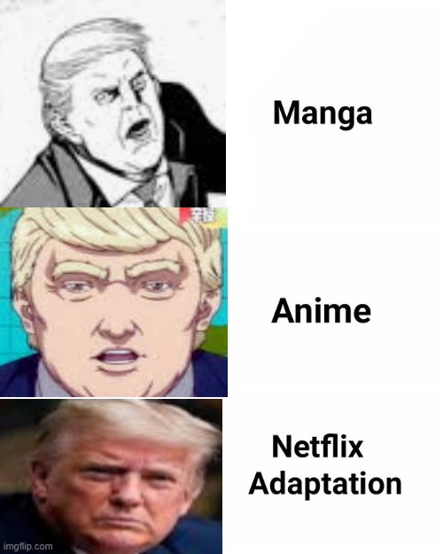 bruh THIS IS TRUE | image tagged in manga anime netflix adaption | made w/ Imgflip meme maker