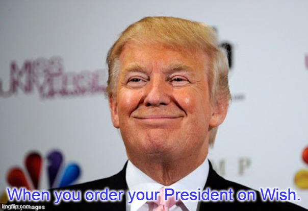 Wish President | When you order your President on Wish. | image tagged in donald trump approves,memes | made w/ Imgflip meme maker