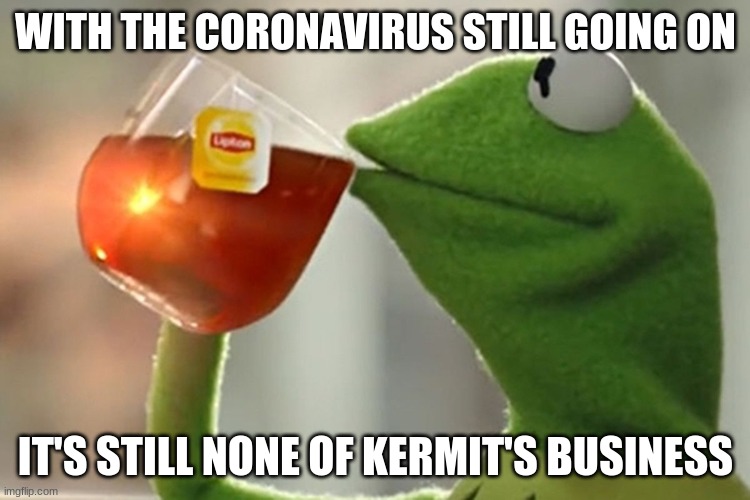 WITH THE CORONAVIRUS STILL GOING ON; IT'S STILL NONE OF KERMIT'S BUSINESS | image tagged in kermit the frog | made w/ Imgflip meme maker