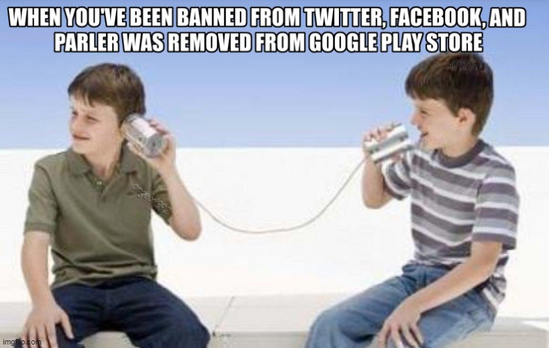 image tagged in trump supporters,trump,social media,twitter,parler,banned | made w/ Imgflip meme maker
