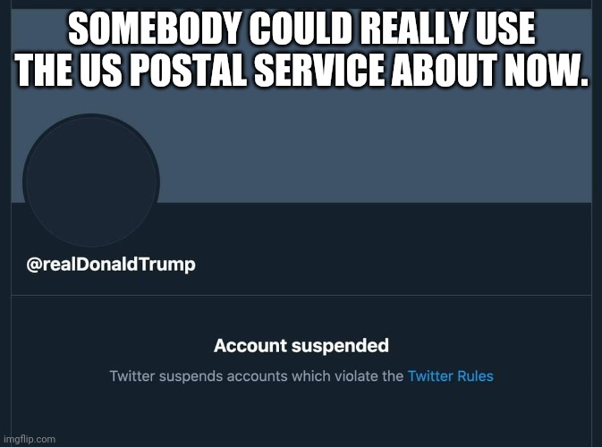 Trump needs the USPS. | SOMEBODY COULD REALLY USE THE US POSTAL SERVICE ABOUT NOW. | image tagged in trump,usps | made w/ Imgflip meme maker