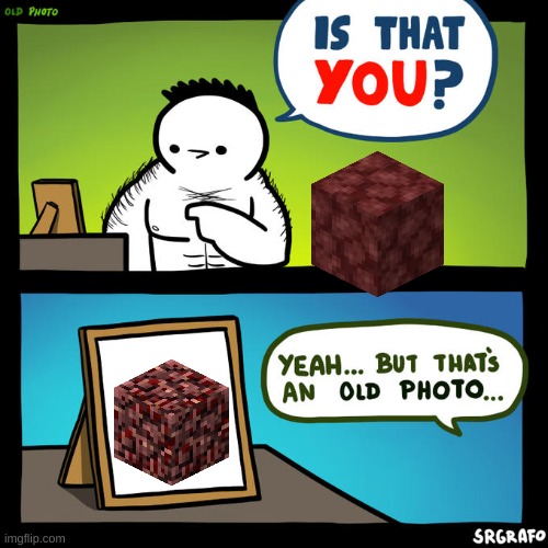 who remembers old nether-rack? | image tagged in is that you yeah but that's an old photo | made w/ Imgflip meme maker
