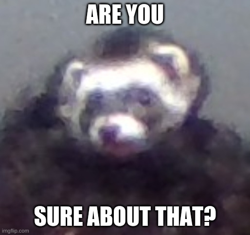 zach's ferret | ARE YOU SURE ABOUT THAT? | image tagged in ferret | made w/ Imgflip meme maker