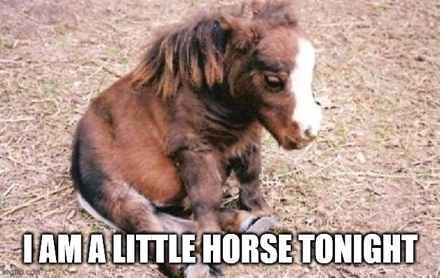 Sad horsey fat horsey | I AM A LITTLE HORSE TONIGHT | image tagged in sad horsey fat horsey,eyeroll | made w/ Imgflip meme maker