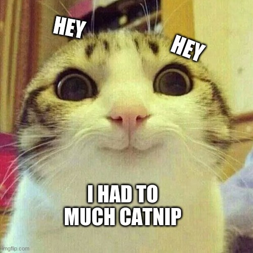 smile cat | HEY; HEY; I HAD TO MUCH CATNIP | image tagged in memes | made w/ Imgflip meme maker
