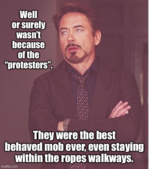 Face You Make Robert Downey Jr Meme | Well or surely wasn’t because of the “protesters”. They were the best behaved mob ever, even staying within the ropes walkways. | image tagged in memes,face you make robert downey jr | made w/ Imgflip meme maker