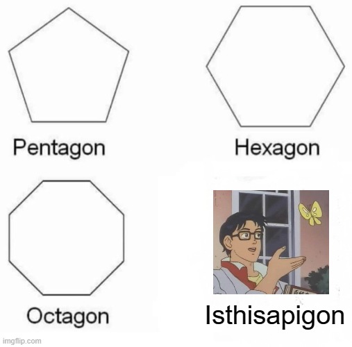 Pentagon Hexagon Octagon | Isthisapigon | image tagged in memes,pentagon hexagon octagon | made w/ Imgflip meme maker