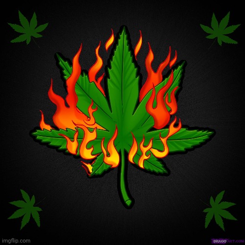 Burning Pot Leaf | image tagged in burning pot leaf | made w/ Imgflip meme maker