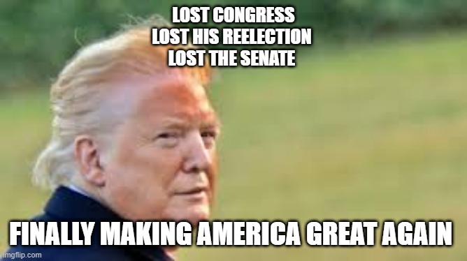 Trump MAGA | LOST CONGRESS
LOST HIS REELECTION 
LOST THE SENATE; FINALLY MAKING AMERICA GREAT AGAIN | image tagged in donald trump,republicans,trump supporters,cult,maga | made w/ Imgflip meme maker