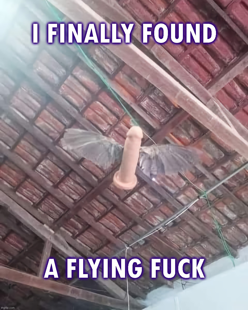 I finally found a flying fuck | I FINALLY FOUND; A FLYING FUCK | image tagged in funny,dildo | made w/ Imgflip meme maker