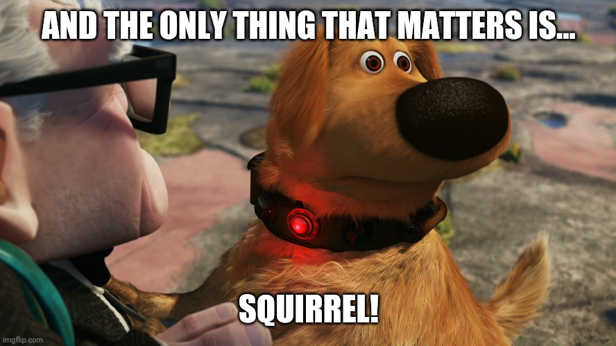Up Dog | AND THE ONLY THING THAT MATTERS IS... SQUIRREL! | image tagged in up dog | made w/ Imgflip meme maker