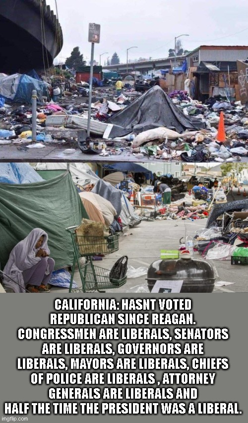 CALIFORNIA: HASNT VOTED REPUBLICAN SINCE REAGAN. CONGRESSMEN ARE LIBERALS, SENATORS ARE LIBERALS, GOVERNORS ARE LIBERALS, MAYORS ARE LIBERAL | image tagged in california tent city,3rd world country nope san francisco | made w/ Imgflip meme maker