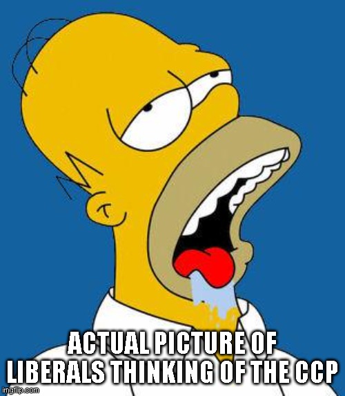 Homer Drooling | ACTUAL PICTURE OF LIBERALS THINKING OF THE CCP | image tagged in homer drooling | made w/ Imgflip meme maker