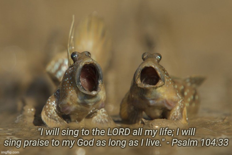 Mudskippers | "I will sing to the LORD all my life; I will sing praise to my God as long as I live." - Psalm 104:33 | image tagged in bible verse,singing,fish | made w/ Imgflip meme maker