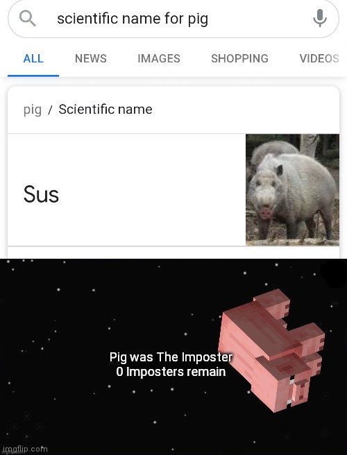 Pig was The Imposter
0 Imposters remain | image tagged in x was the impostor,minecraft,pig | made w/ Imgflip meme maker