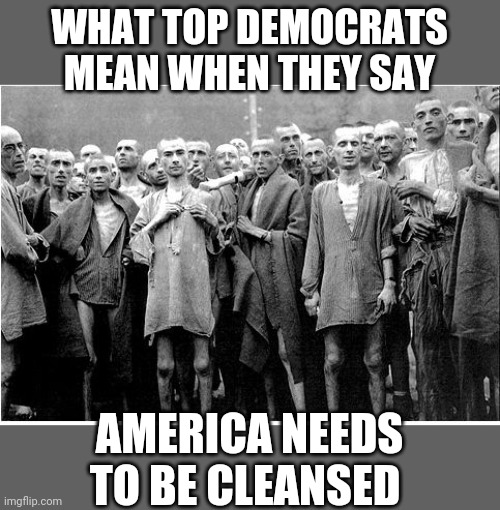 Holocaust  | WHAT TOP DEMOCRATS MEAN WHEN THEY SAY; AMERICA NEEDS TO BE CLEANSED | image tagged in holocaust | made w/ Imgflip meme maker
