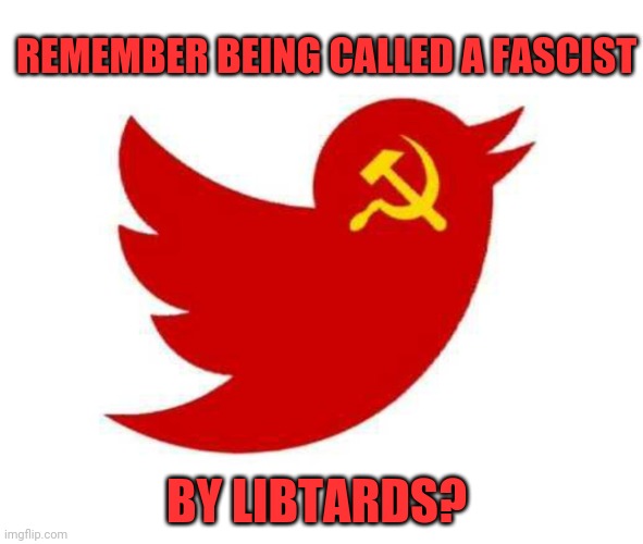 REMEMBER BEING CALLED A FASCIST; BY LIBTARDS? | image tagged in memes | made w/ Imgflip meme maker