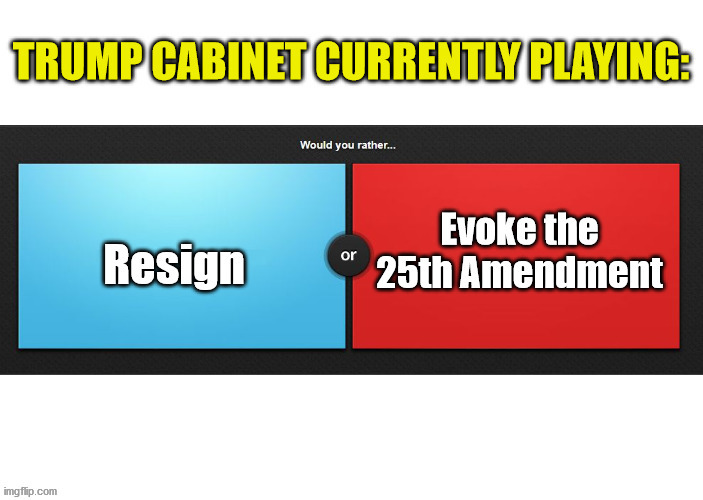 image tagged in would you rather,25th amendment | made w/ Imgflip meme maker